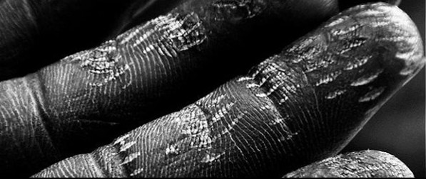 Lo que el FICUNAM nos dejó (d)